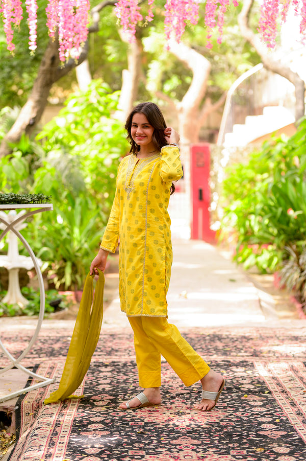 Jacquard Embroidered 2pc Suit 4633