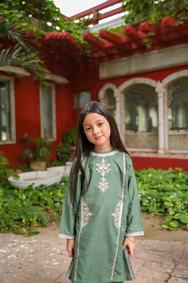Embroidered 2pc Suit 4585