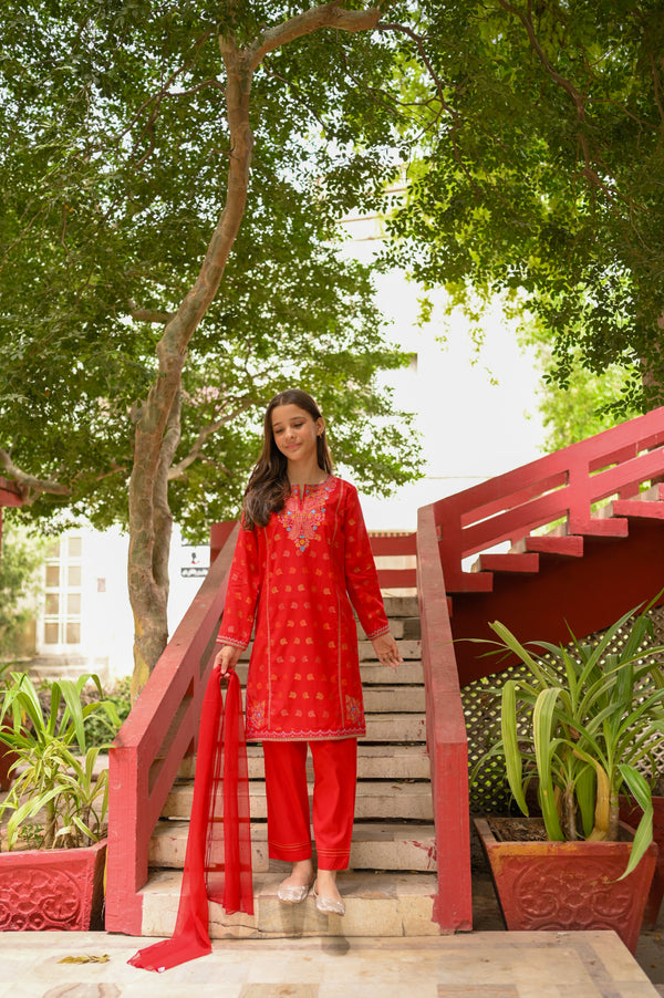 Jacquard Embroidered 2pc Suit 4631