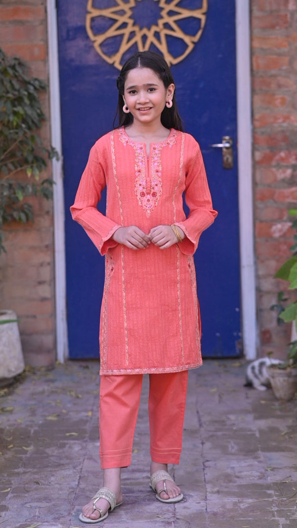 Crinkle Embroidered 2pc Suit 4629