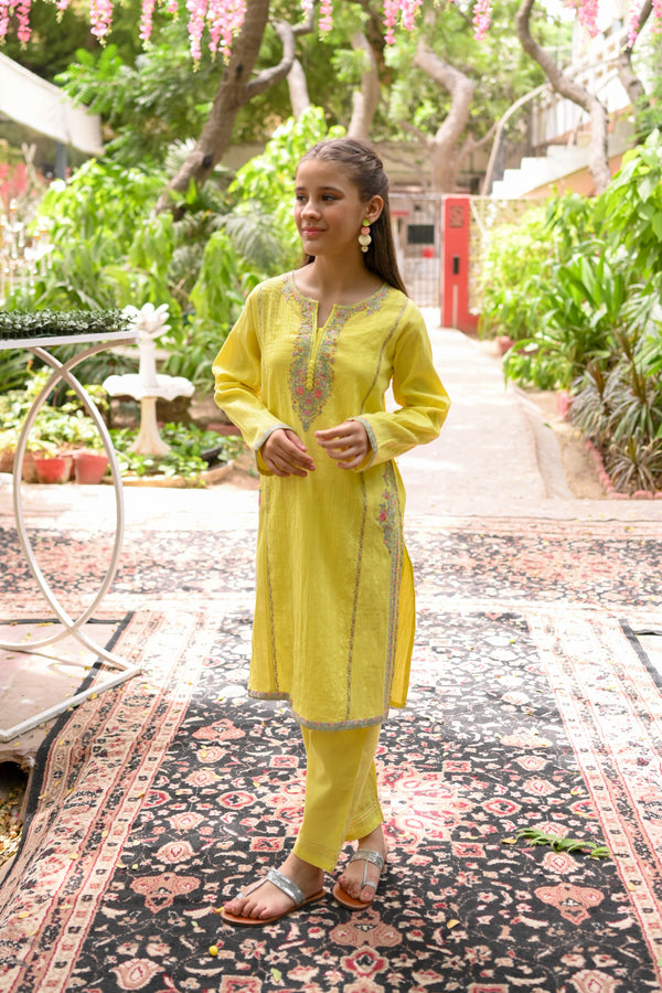 Crinkle Embroidered 2pc Suit 4629