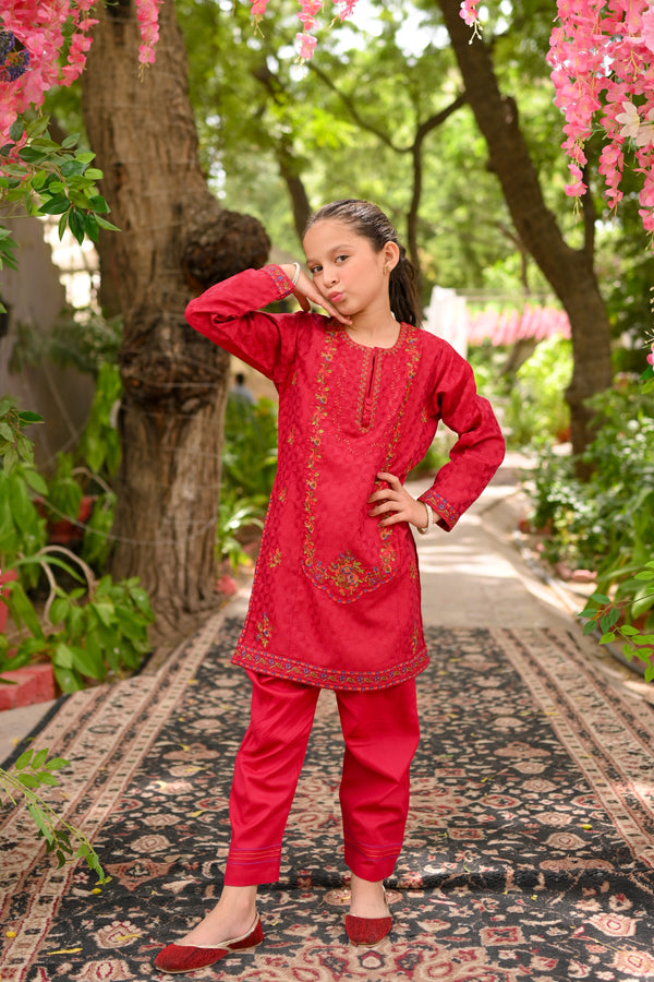 Jacquard Embroidered 2pc Suit 4637