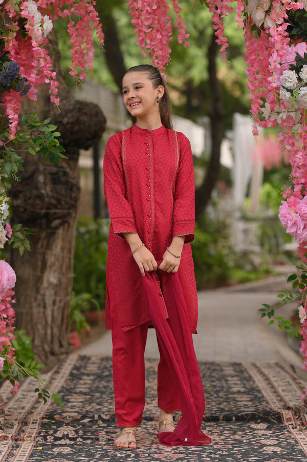Jacquard Designing 2Pc Suit 4648