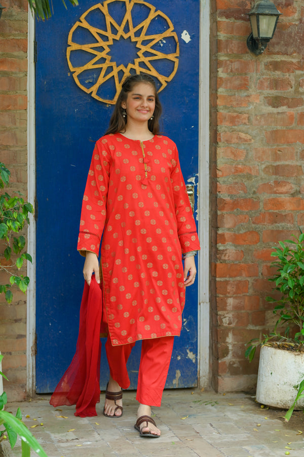 Jacquard Designing 2Pc Suit 4634