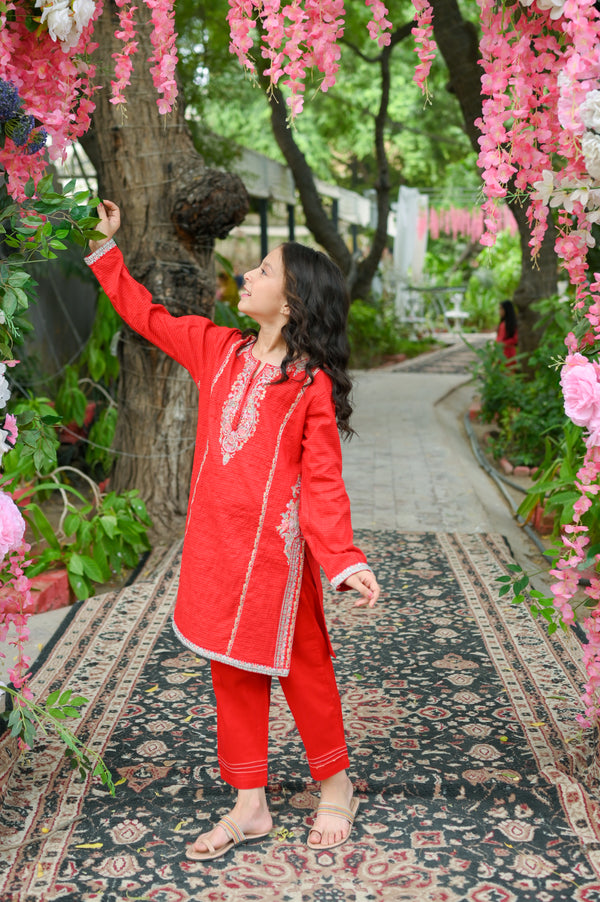 Crinkle Embroidered 2pc Suit 4629