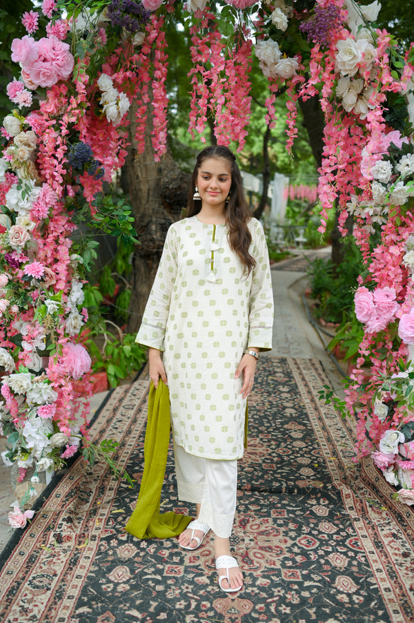 Jacquard Designing 2Pc Suit 4634