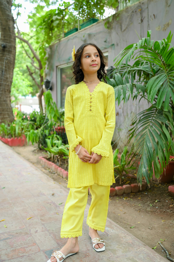 Crinkle Designing 2Pc Suit 4622