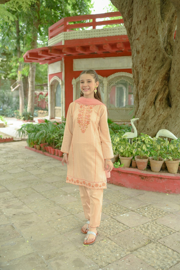 Cotton Embroidered 2pc Suit 4636